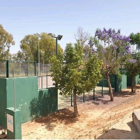 Alojamiento Con Piscina Y Parking En Sevilla La Algaba Ngoại thất bức ảnh